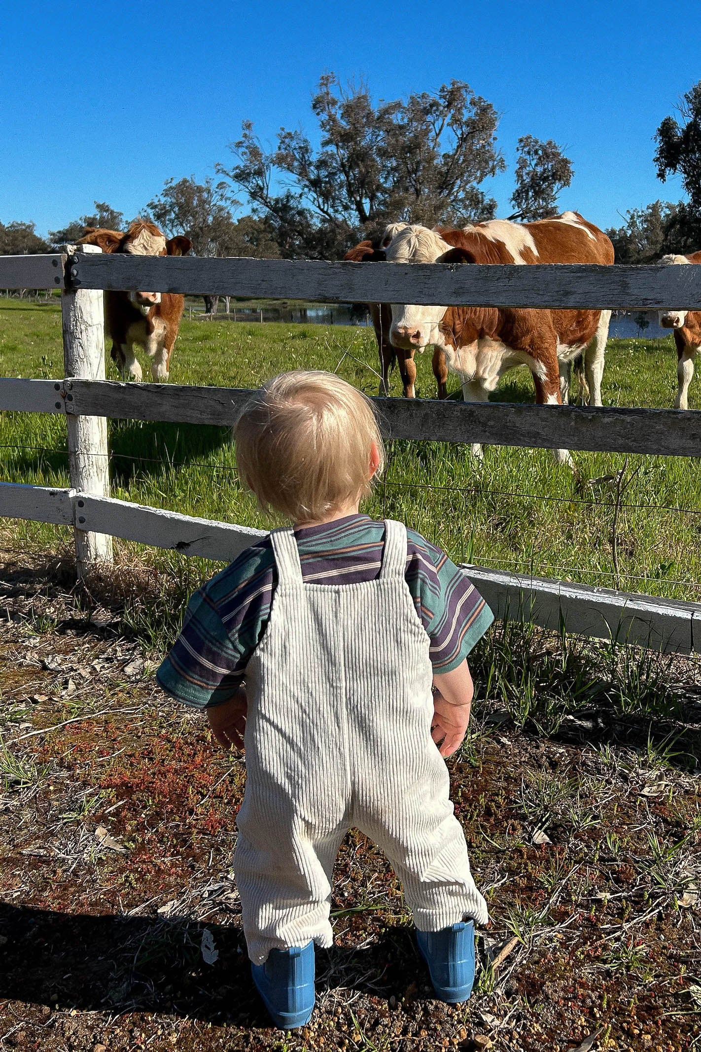 Toddler Cream Corduroy Overalls