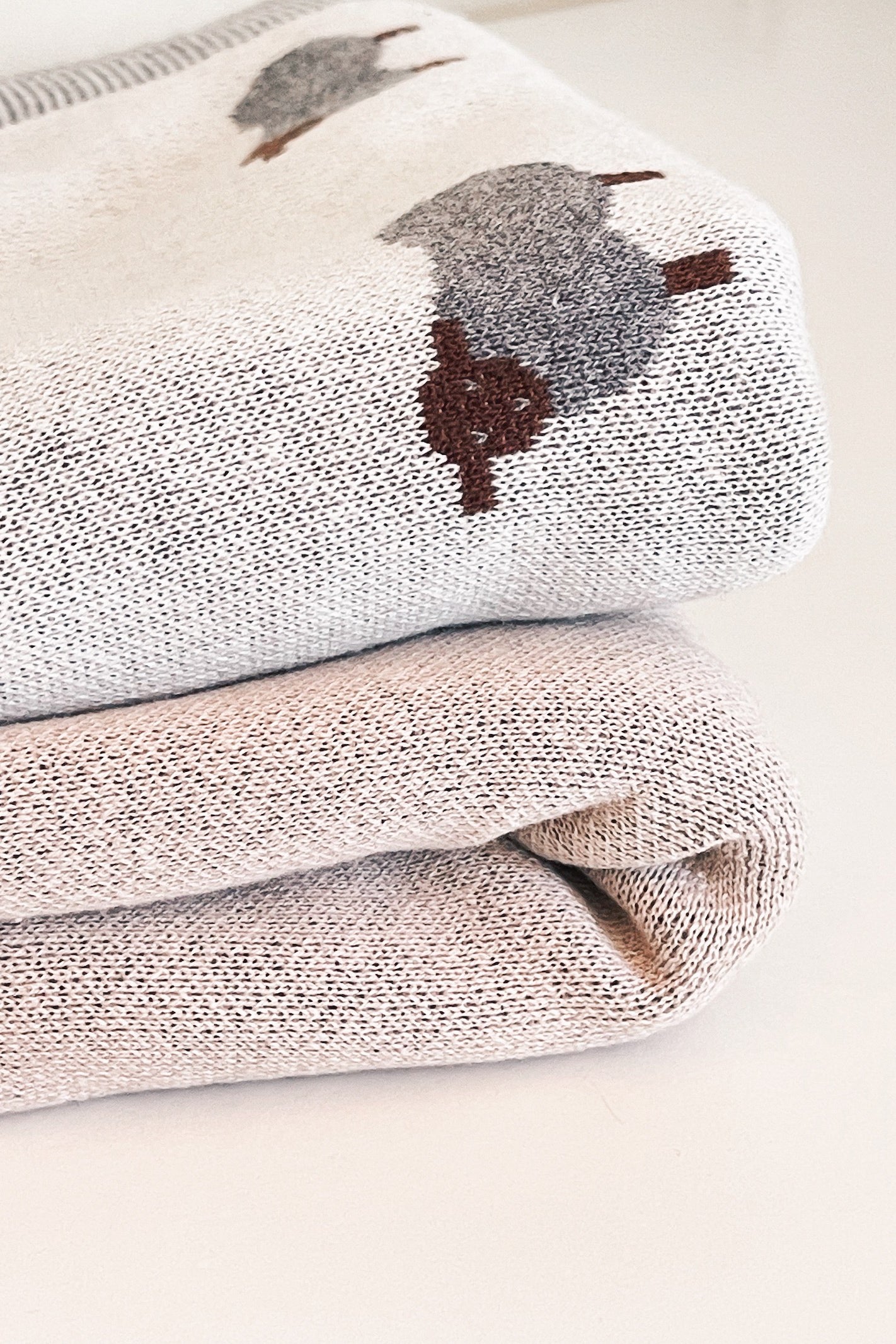 sheep blanket
