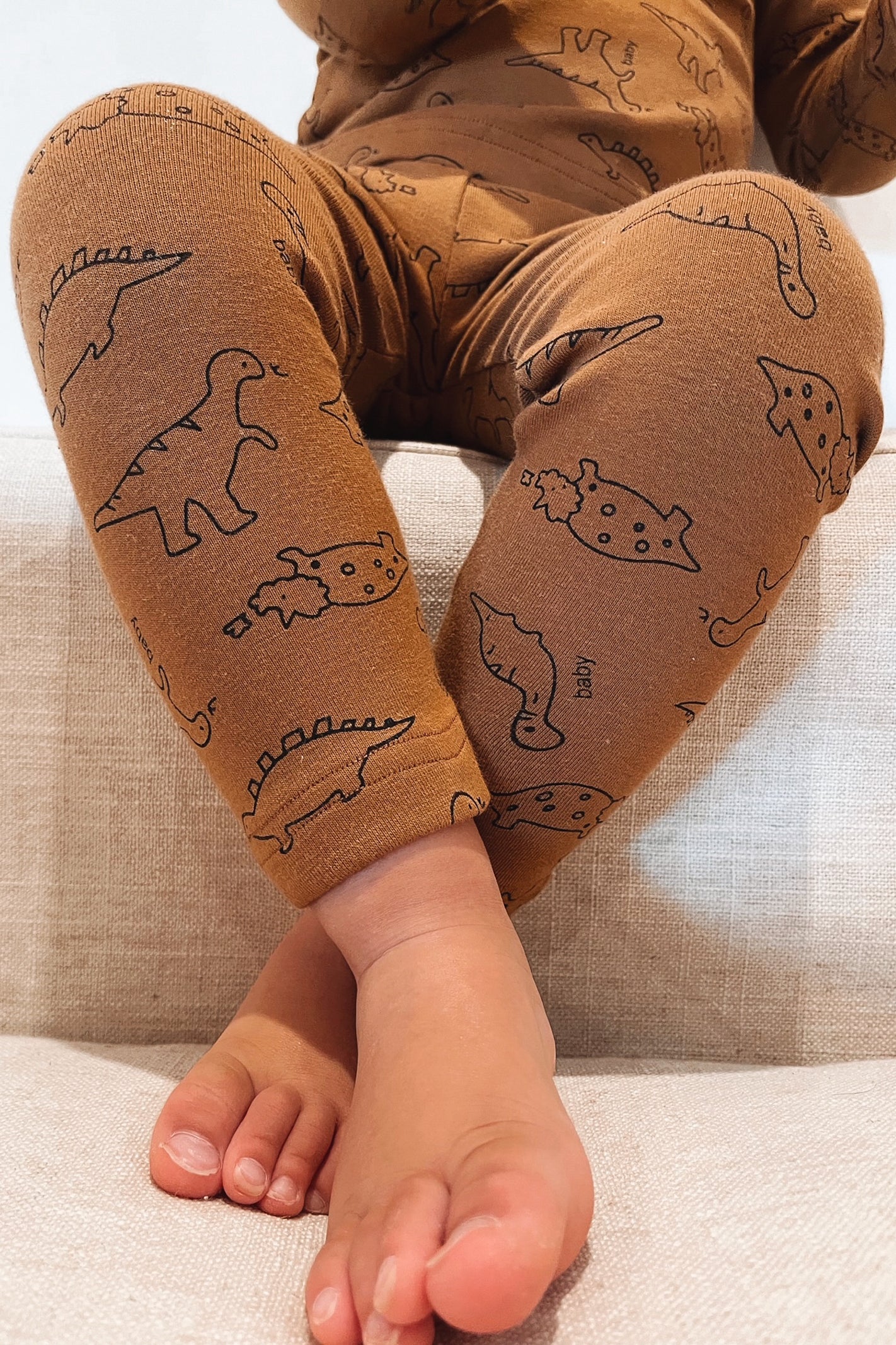 boy wearing brown dinosaur set